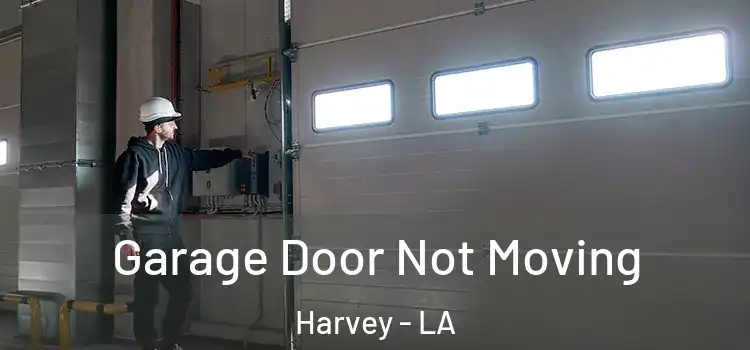  Garage Door Not Moving Harvey - LA