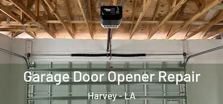  Garage Door Opener Repair Harvey - LA