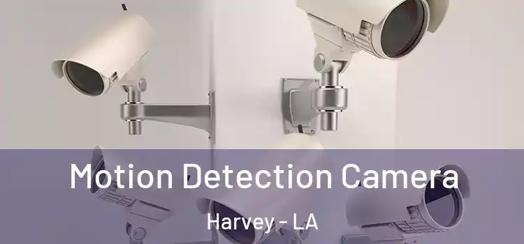  Motion Detection Camera Harvey - LA